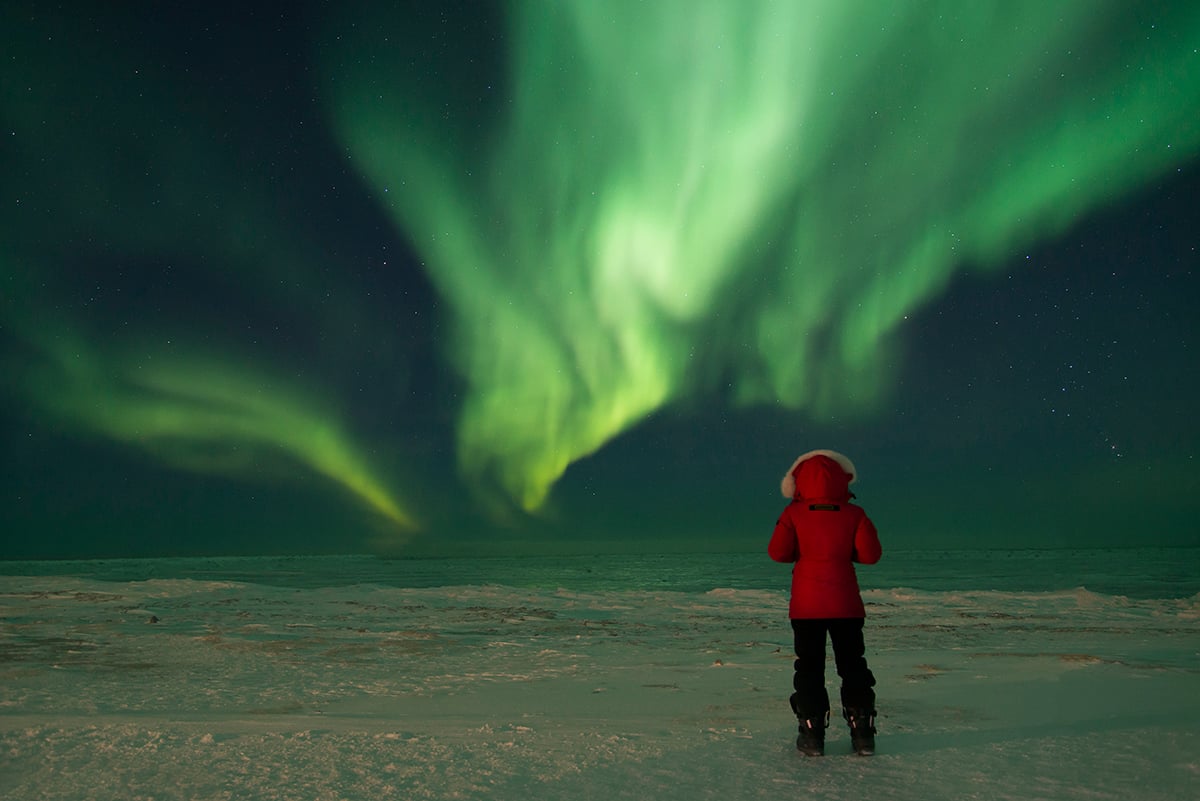 1-Polar-Bear-Fly-In-Migration-Admiring-Aurora-Borealis-Northern-Lights-Private-Journey-Arctic-Polar-Adventure-Arctic-Kingdom