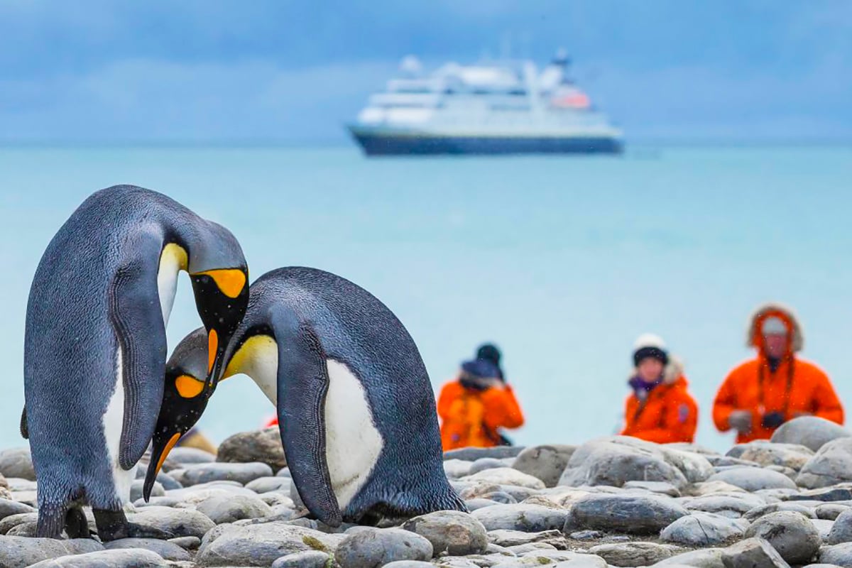 2-Ultimate-Journey-Pole-To-Pole-Antarctic-Penguins-Observing-Observation-Private-Journey-Arctic-Polar-Adventure-Arctic-Kingdom