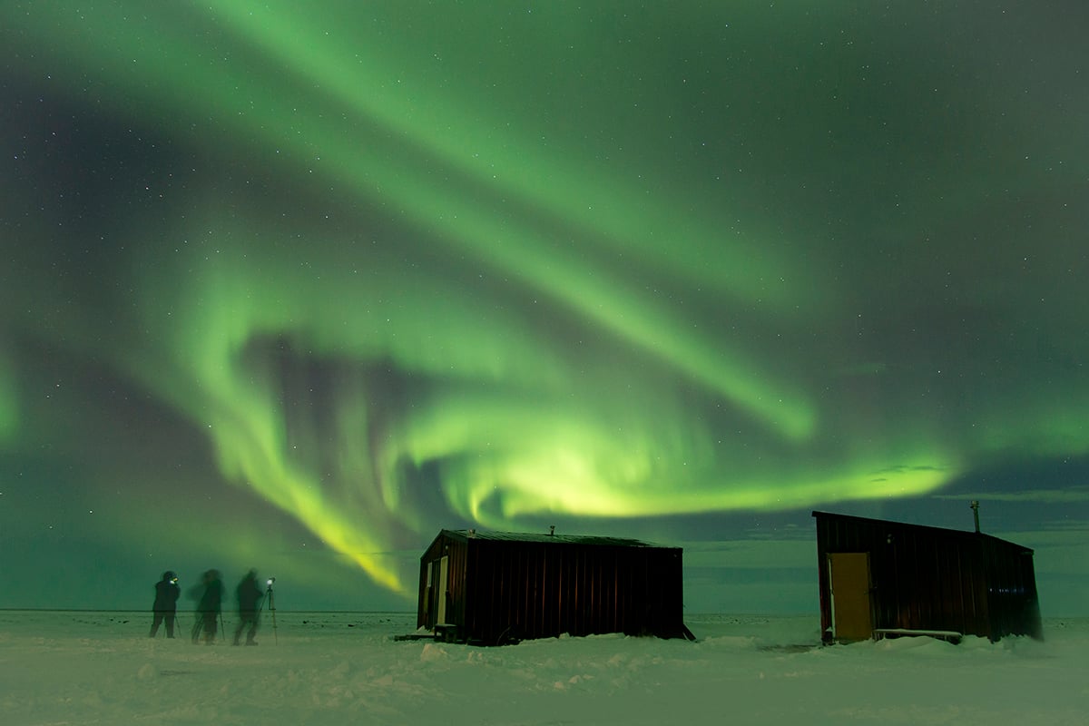 3-Polar-Bear-Fly-In-Migration-Aurora-Borealis-Northern-Lights-Private-Journey-Arctic-Polar-Adventure-Arctic-Kingdom