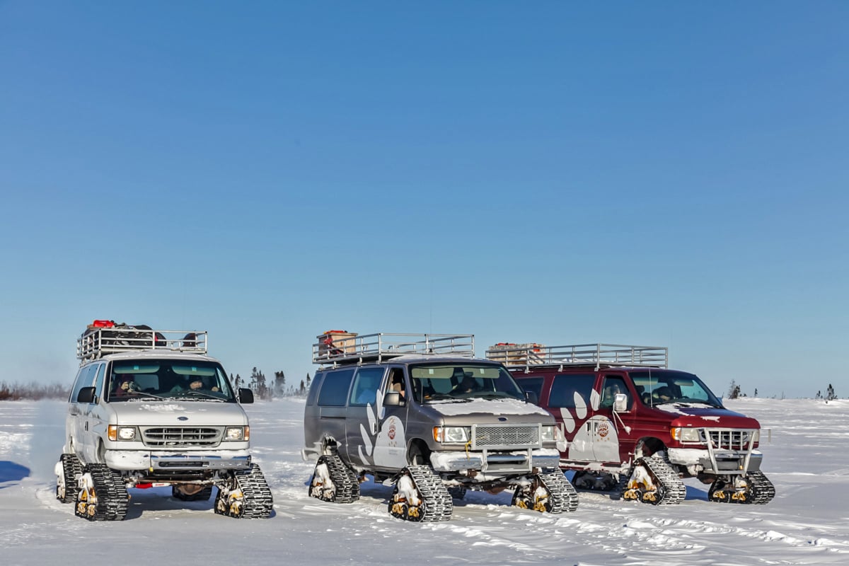 1-Polar-Bear-Mother-and-Cubs-Lodge-Arctic-Adventure-Vans-Private-Journey-Arctic-Polar-Adventure-Arctic-Kingdom