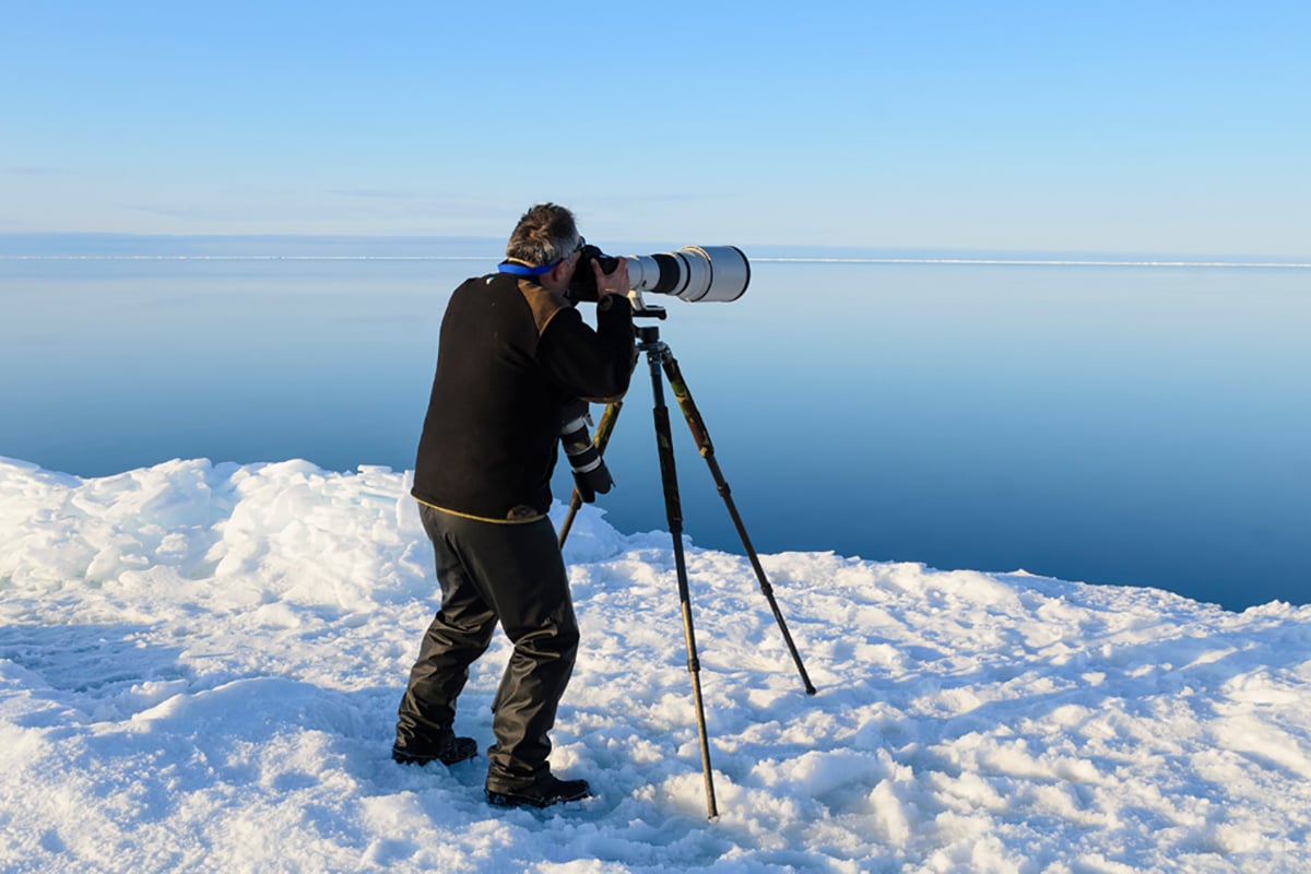 12-Narwhal-and-Polar-Bear-Photographer-Wildlife-Narwhal-photography-Private-Journey-Arctic-Polar-Adventure-Arctic-Kingdom