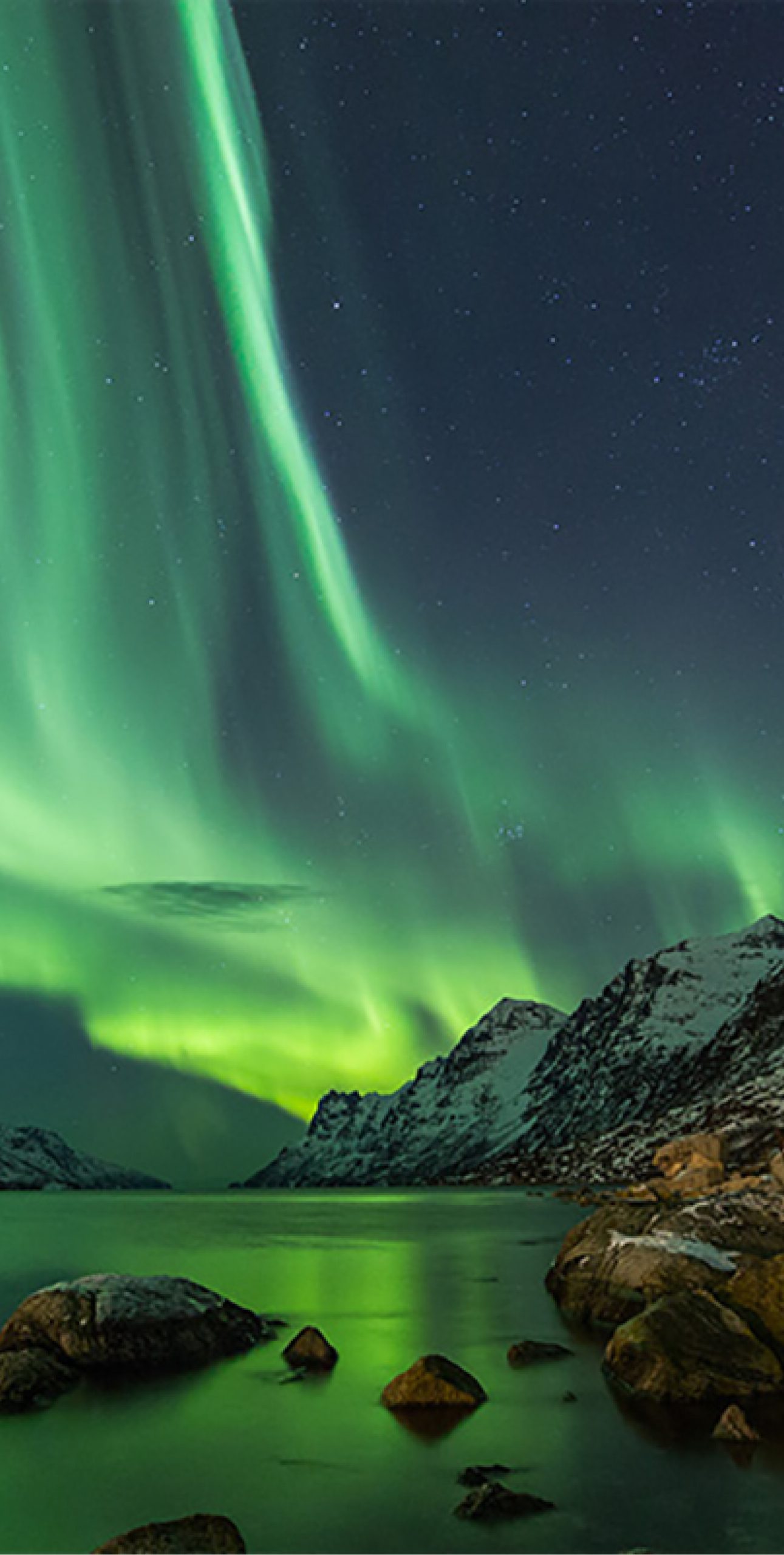 3-Ultimate-Journey-Main-Northern-Lights-Aurora-Borealis-Private-Journey-Arctic-Polar-Adventure-Arctic-Kingdom-scaled