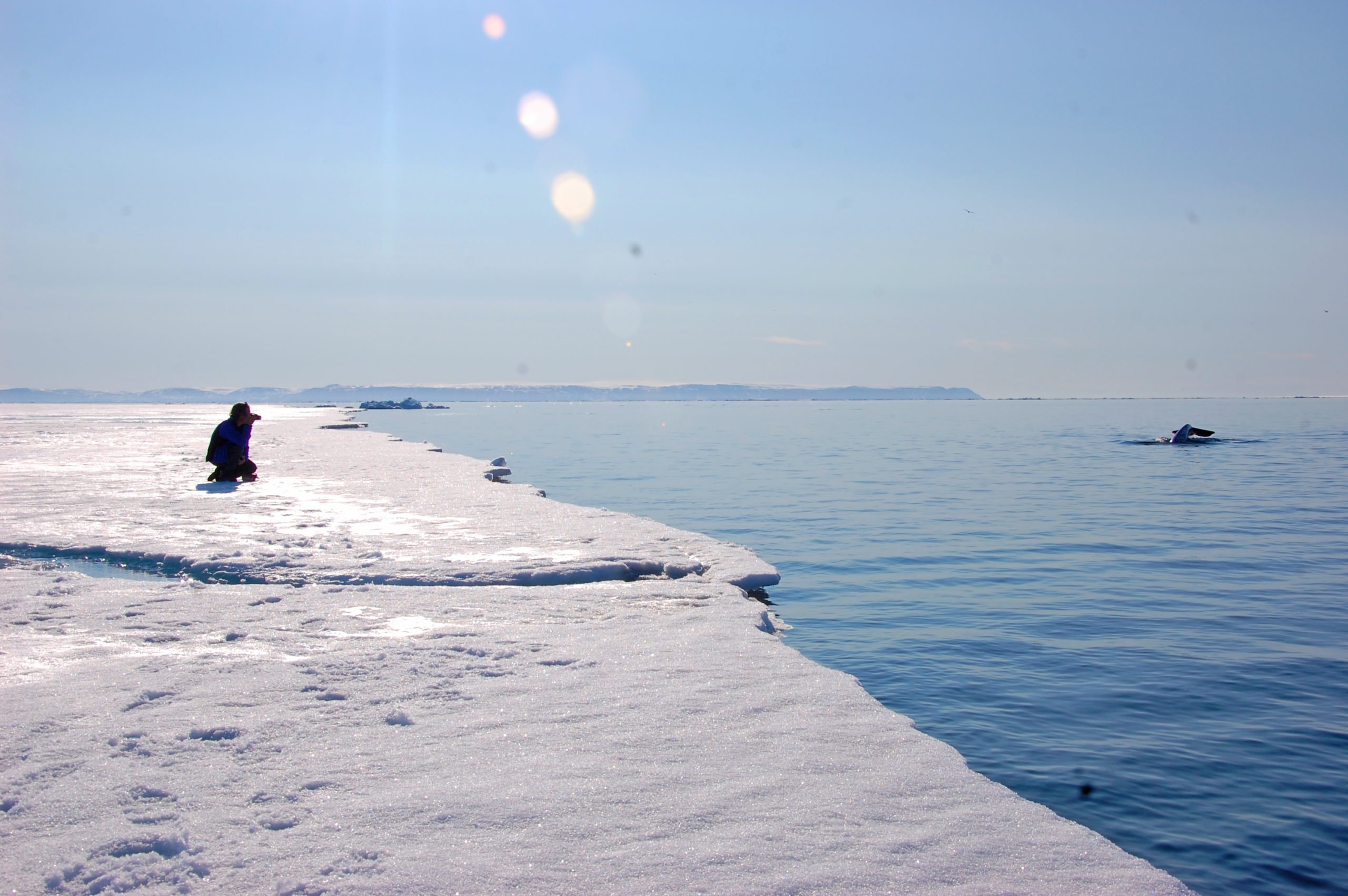 5-Ultimate-Journey-Midnight-Sun-Carousel-2-Watching-Narwhal-at-floe-edge-Private-Journey-Arctic-Polar-Adventure-Arctic-Kingdom-scaled