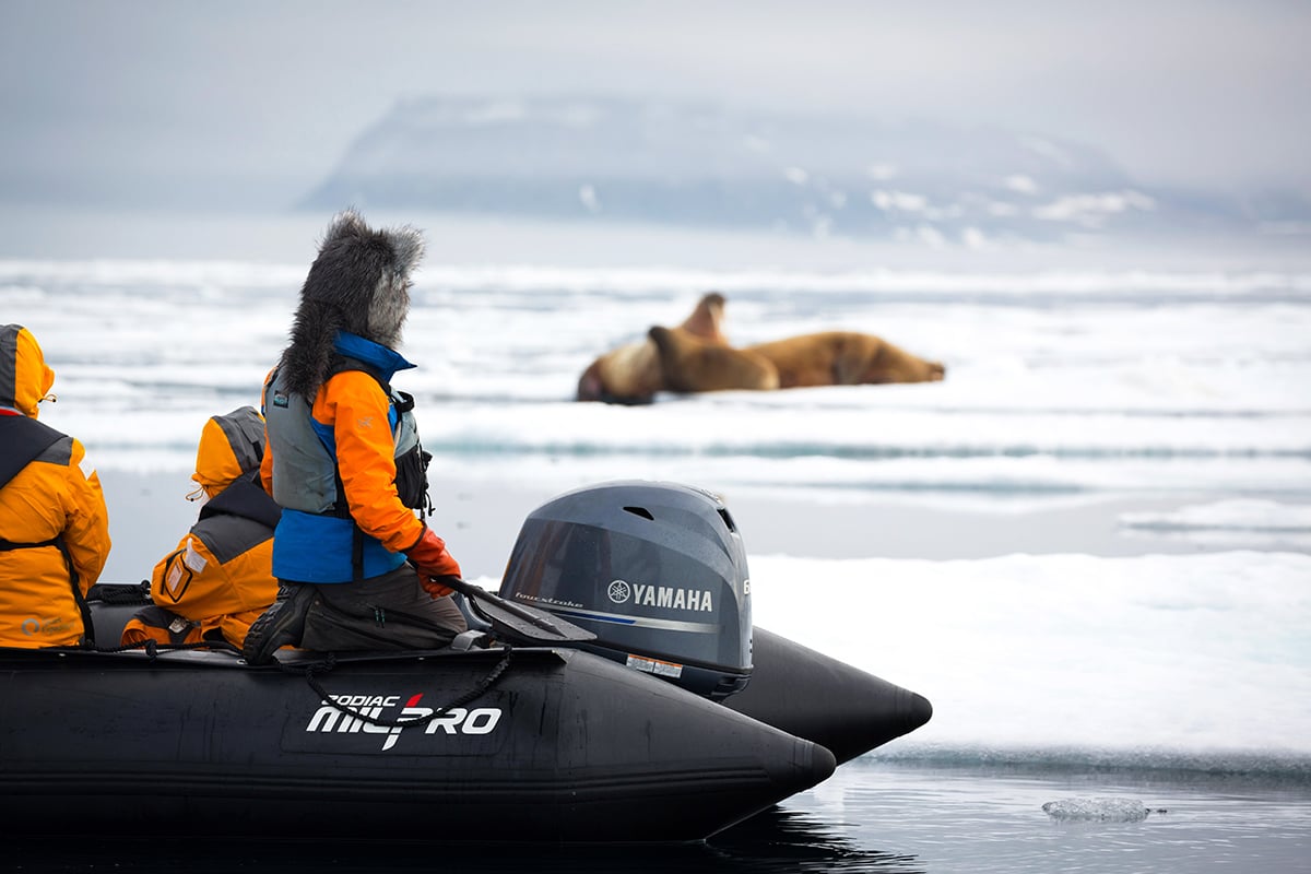 5-Ultimate-Journey-Yacht-Section-PJ-Yacht-3-Page-Carousel-walrus-cruise-waldenoya-svalbard-Private-Journey-Arctic-Polar-Adventure-Arctic-Kingdom