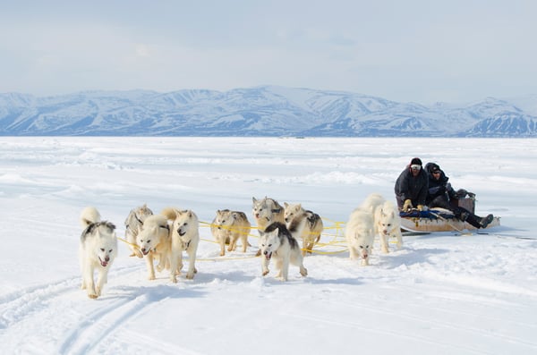 Stephen Gorman-Arctic Kingdom 2013-30