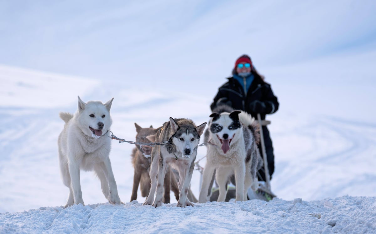 basecamp-explorer-dog-sledding-1