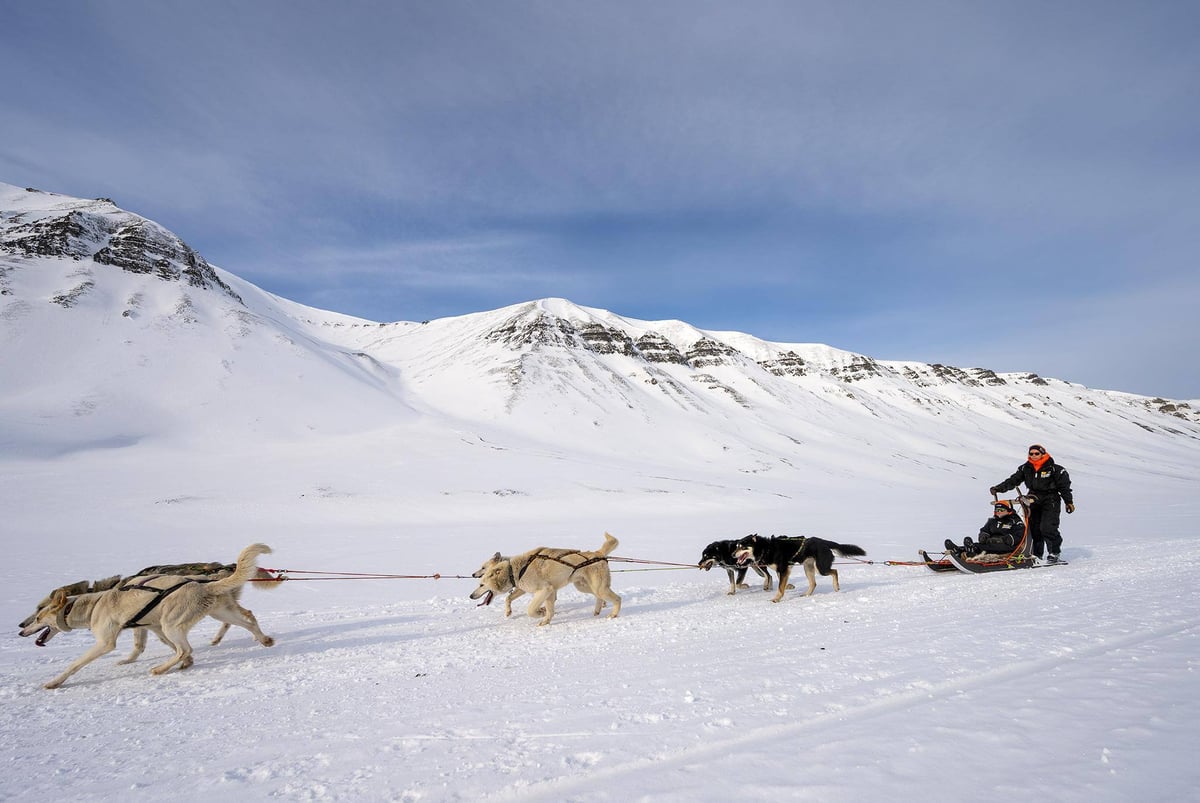 basecamp-explorer-dog-sledding-photo-runde-dahl-6